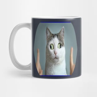 cat meme Mug